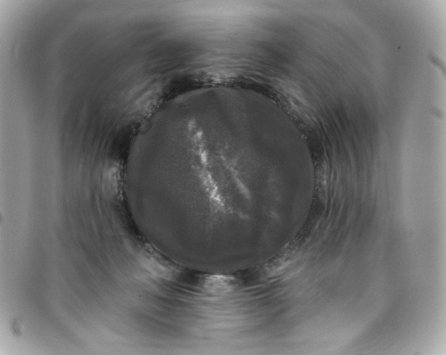 X0000097790222200803211828