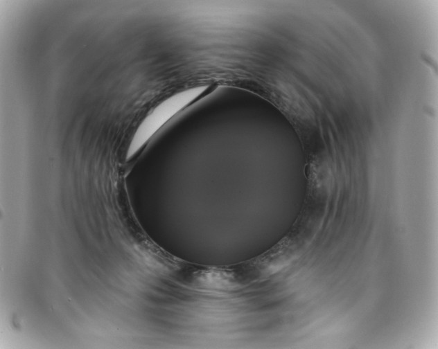 X0000097790223200803211828