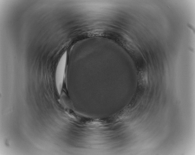 X0000097790224200803211828
