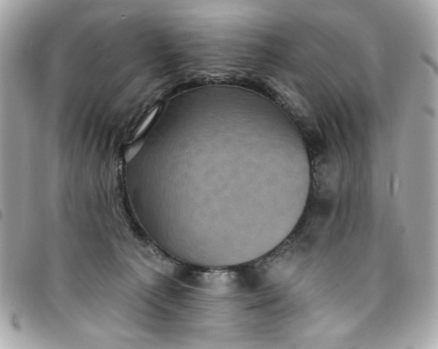 X0000097790225200803211828