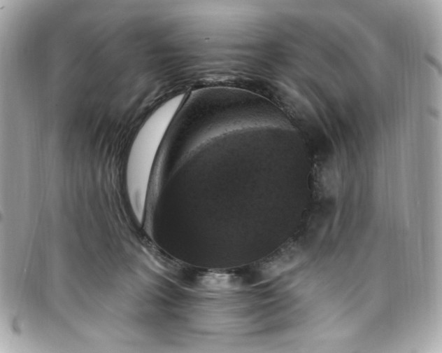 X0000097790227200803211828