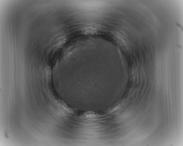 X0000097790228200803211828