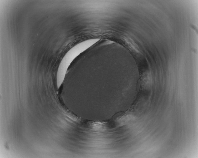X0000097790229200803211828