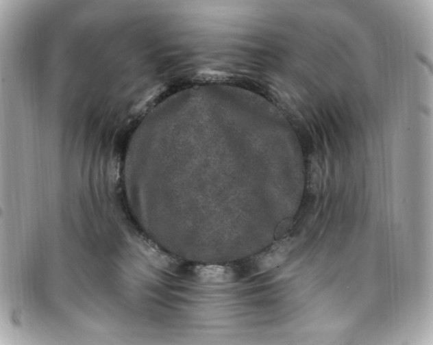 X0000097790230200803211828