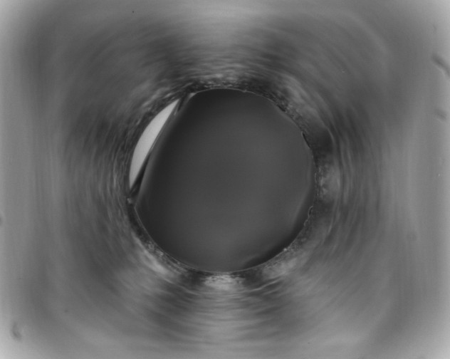 X0000097790231200803211828