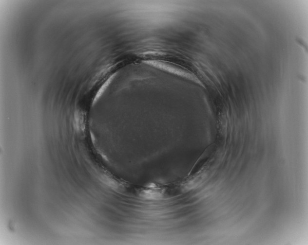 X0000097790232200803211828