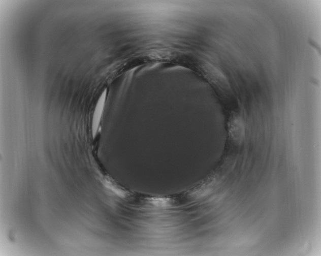 X0000097790233200803211828