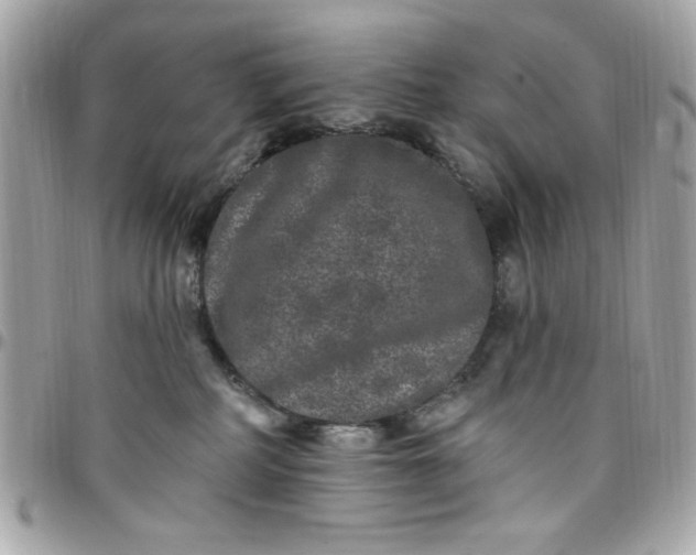 X0000097790234200803211828