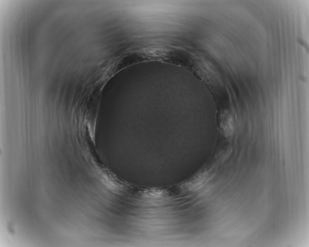 X0000097790235200803211828