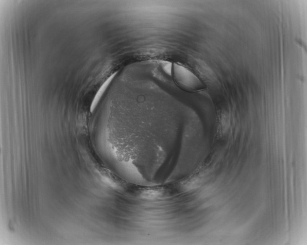X0000097790236200803211828