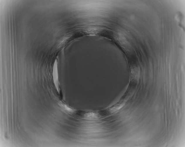 X0000097790237200803211828