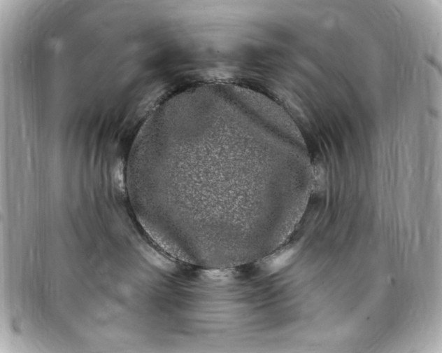 X0000097790238200803211828