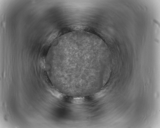 X0000097790240200803211828
