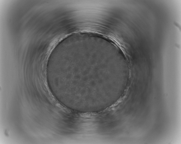 X0000097790241200803211827