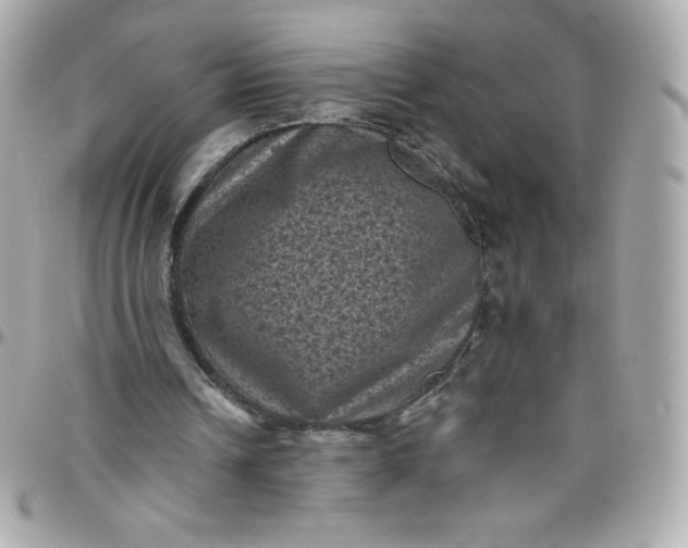 X0000097790242200803211827