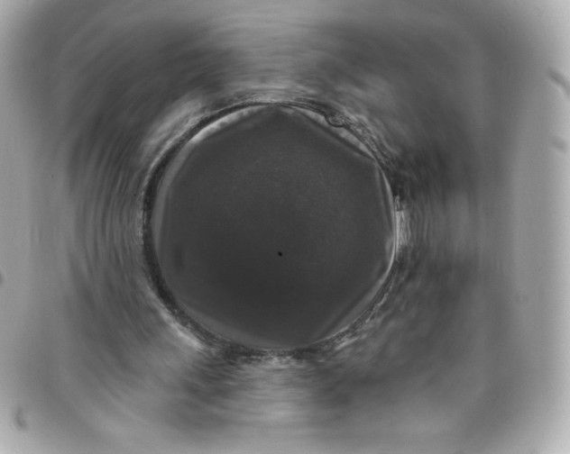 X0000097790243200803211827