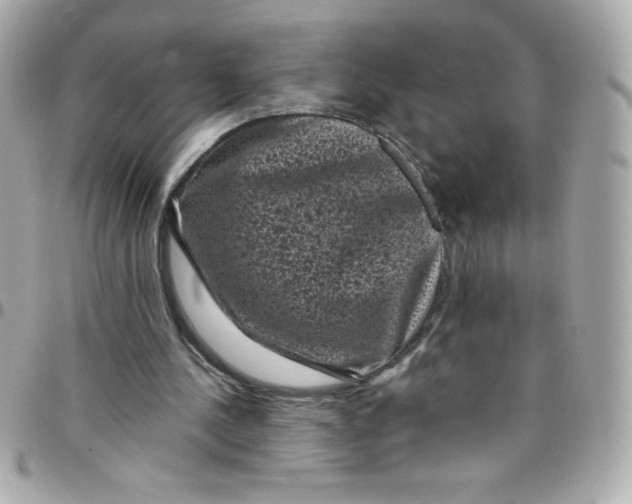 X0000097790244200803211827