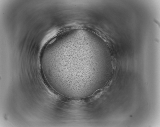 X0000097790245200803211827