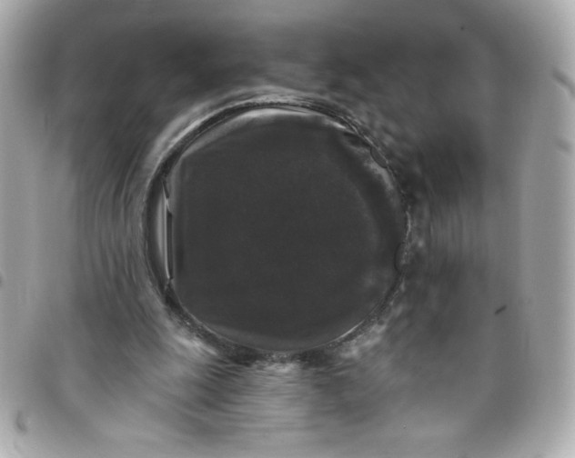 X0000097790247200803211827