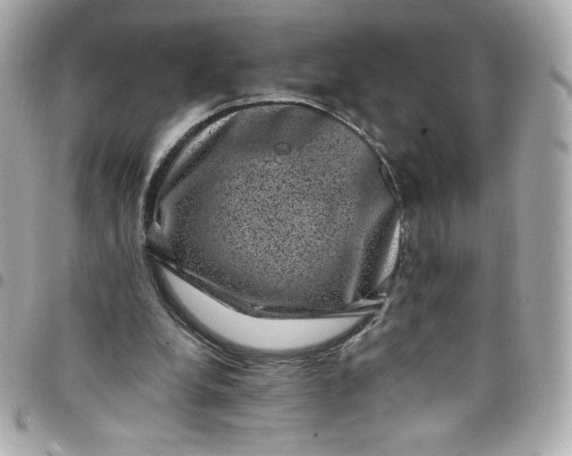 X0000097790248200803211827