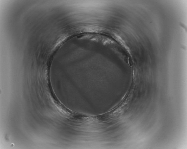 X0000097790249200803211827
