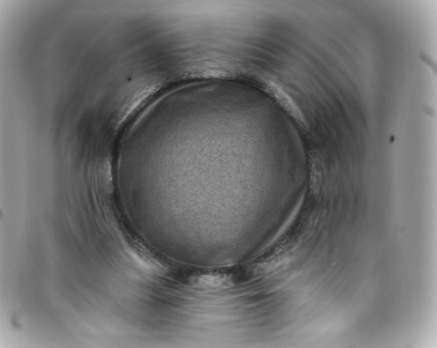 X0000097790251200803211827