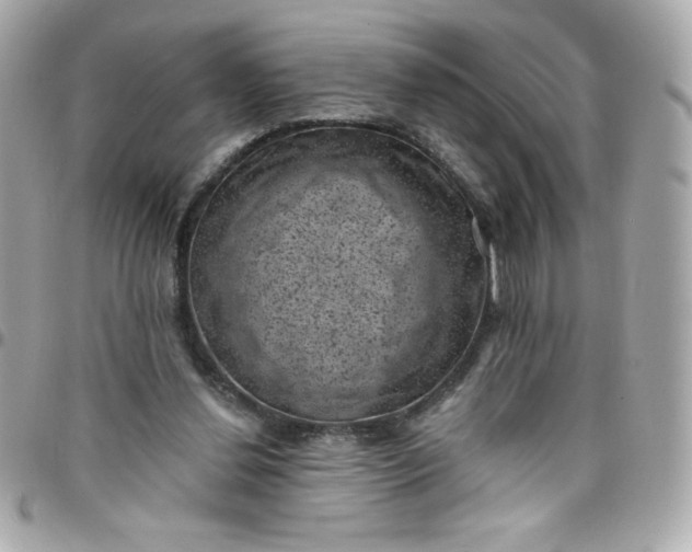 X0000097790252200803211827