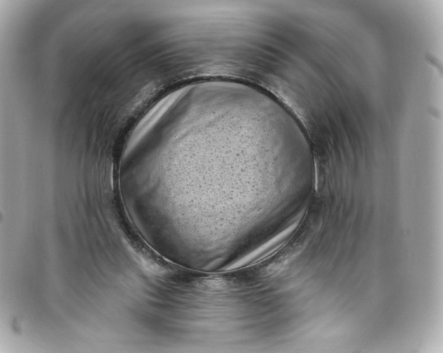 X0000097790253200803211827