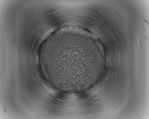 X0000097790254200803211827