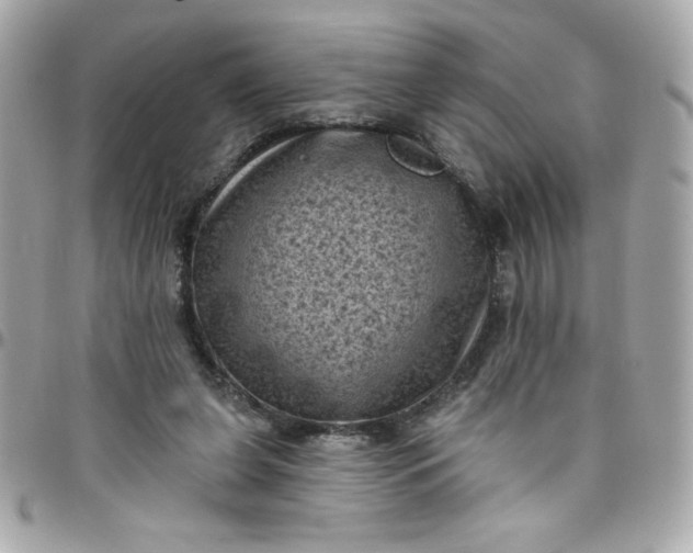 X0000097790255200803211827