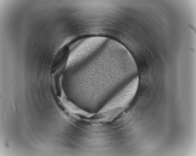 X0000097790256200803211827