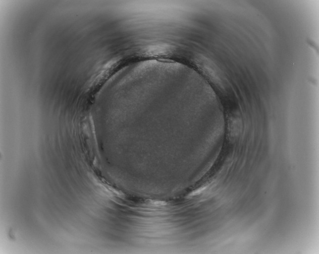X0000097790260200803211827