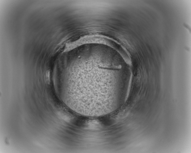 X0000097790262200803211827