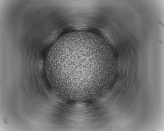 X0000097790263200803211827