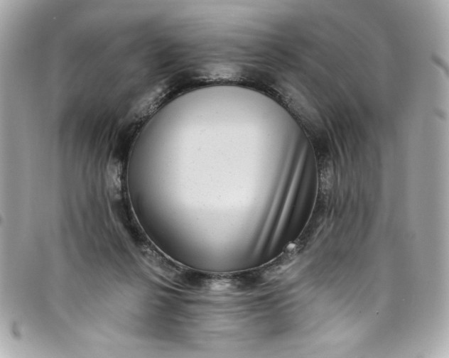X0000097790264200803211827