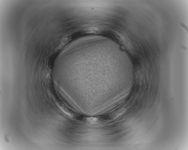 X0000097790265200803211827
