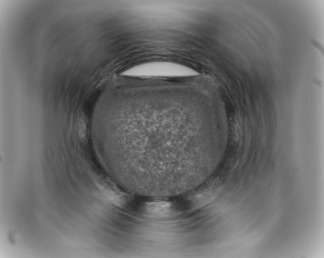 X0000097790266200803211827
