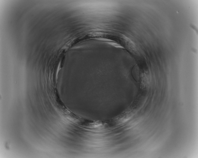 X0000097790267200803211827
