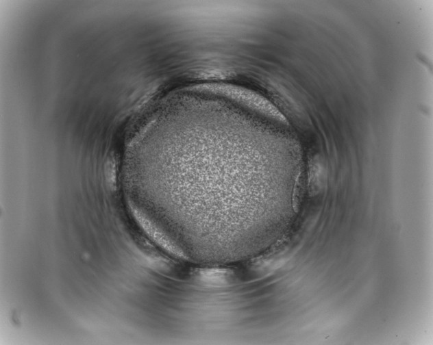X0000097790268200803211827