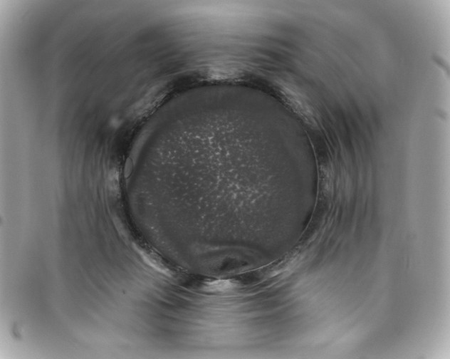 X0000097790269200803211827