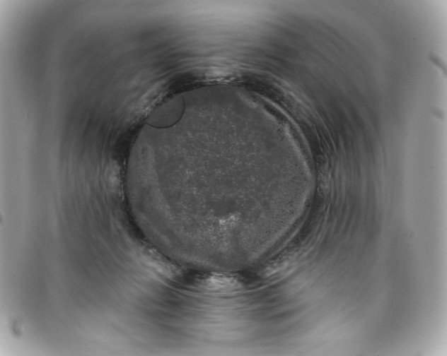 X0000097790270200803211827