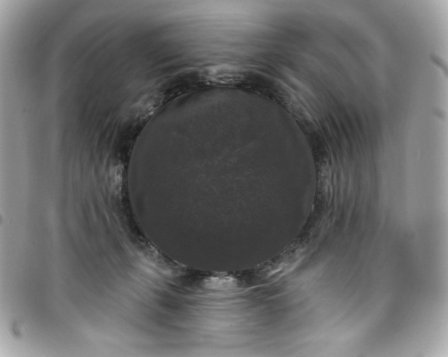 X0000097790271200803211827