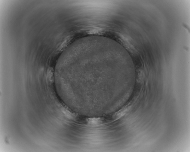 X0000097790273200803211827