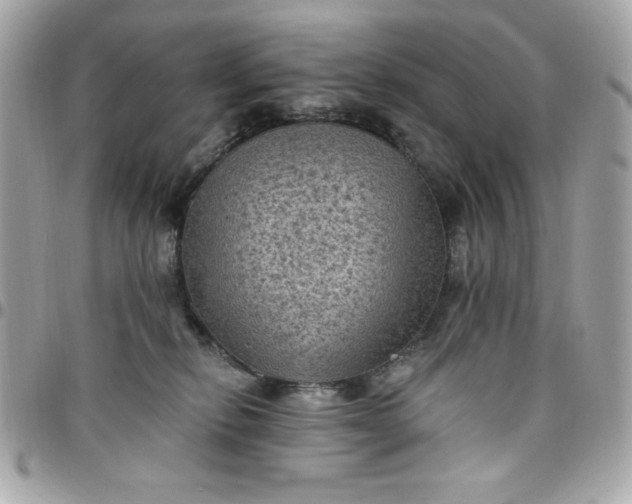 X0000097790278200803211827