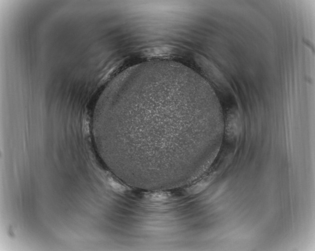X0000097790282200803211827