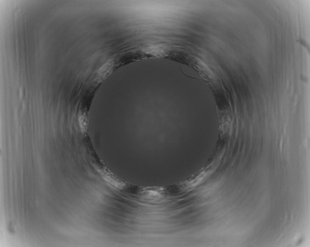 X0000097790285200803211827
