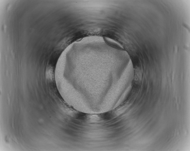 X0000097790287200803211827