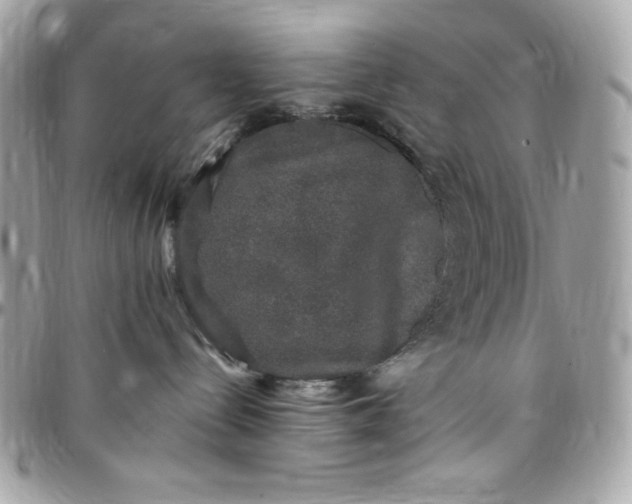 X0000097790288200803211827