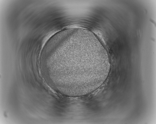 X0000097790289200803211827