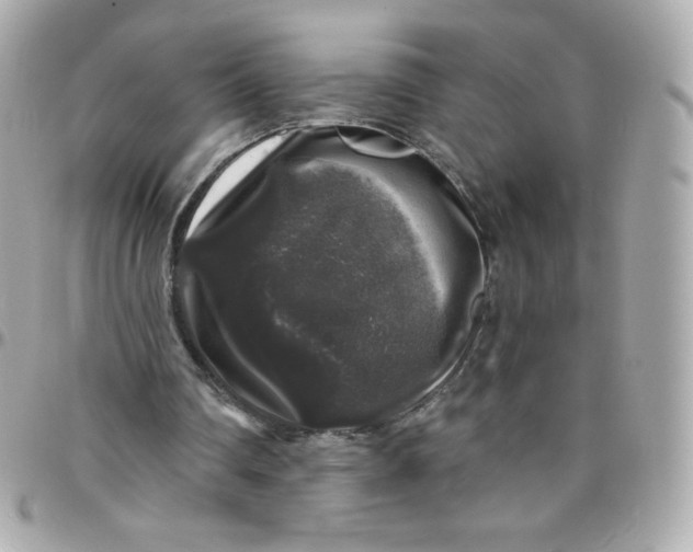 X0000097790290200803211827